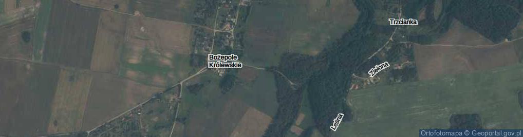 Zdjęcie satelitarne Bożepole Królewskie ul.